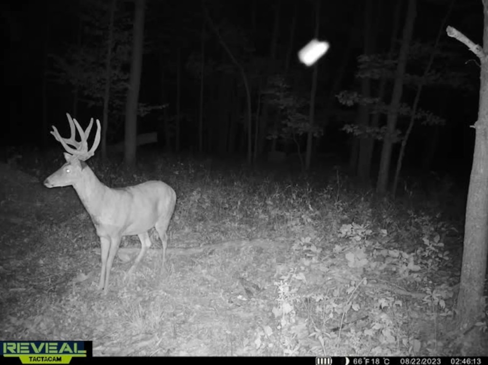 Hunting Land for Sale in Richland County Wisconsin featured image