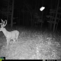 Hunting Land for Sale in Richland County Wisconsin