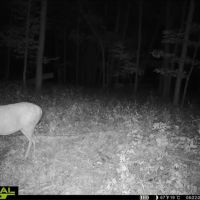 Hunting Land for Sale in Richland County Wisconsin images 2