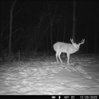 Hunting Land for Sale in Richland County Wisconsin images 3