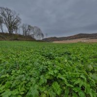 Hunting Land for Sale in Richland County Wisconsin images 4