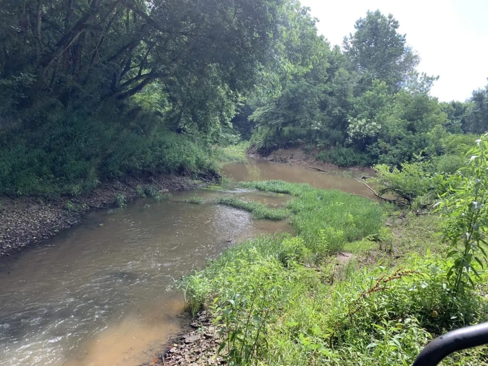 356 - Little Bull Creek Land Water Trees and All featured image