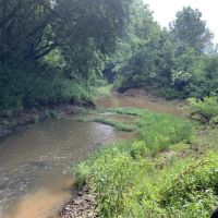 356 - Little Bull Creek Land Water Trees and All