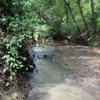 356 - Little Bull Creek Land Water Trees and All images 2