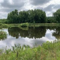 356 - Little Bull Creek Land Water Trees and All images 4