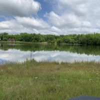 356 - Little Bull Creek Land Water Trees and All images 5