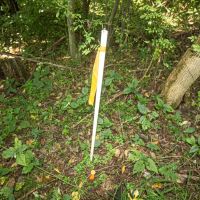 Union Hill Rd - 49 acres - Guernsey County images 3