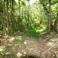 Union Hill Rd - 49 acres - Guernsey County images 5