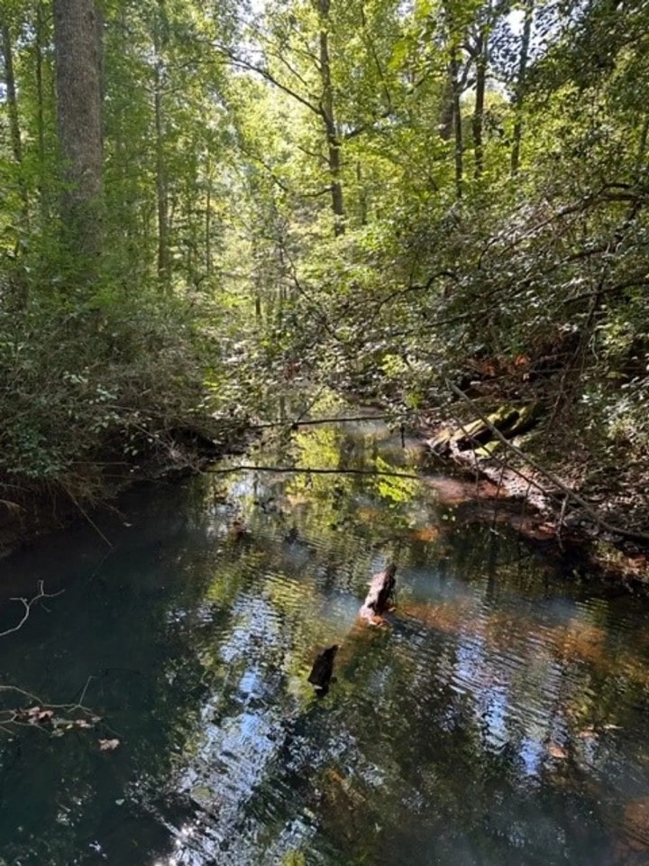 45 -acres Unrestricted Hunt out your back door. featured image