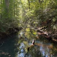 45 -acres Unrestricted Hunt out your back door.