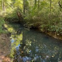 45 -acres Unrestricted Hunt out your back door. images 2