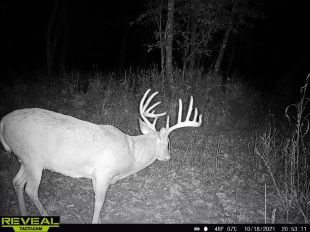 Coveted Hunting and Waterfront Property for Sale in South Central Wisconsin featured image
