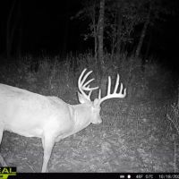 Coveted Hunting and Waterfront Property for Sale in South Central Wisconsin