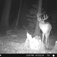 Coveted Hunting and Waterfront Property for Sale in South Central Wisconsin images 2