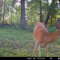 Coveted Hunting and Waterfront Property for Sale in South Central Wisconsin images 3