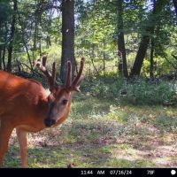 Coveted Hunting and Waterfront Property for Sale in South Central Wisconsin images 4