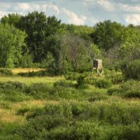 Coveted Hunting and Waterfront Property for Sale in South Central Wisconsin images 5