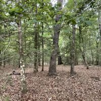 12.66 Acres in Amite County in Liberty MS