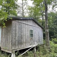 12.66 Acres in Amite County in Liberty MS images 4
