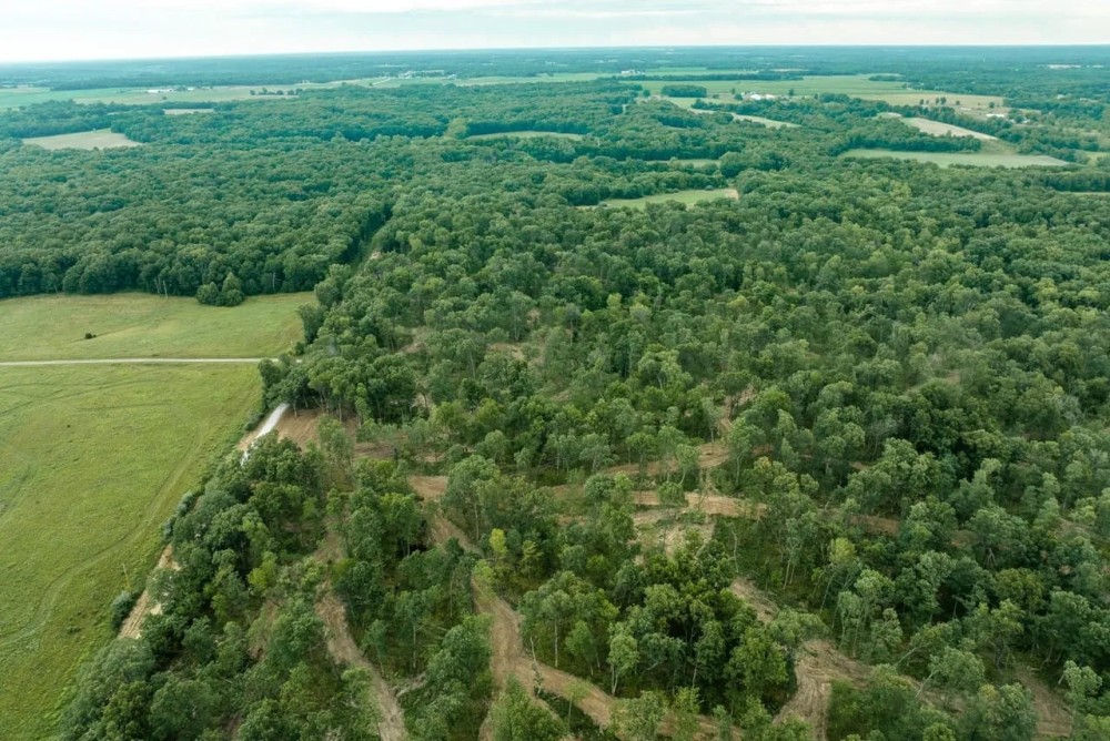 Whitetail Ridge Tract 23 featured image