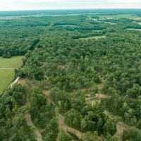 Whitetail Ridge Tract 23