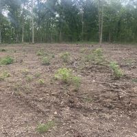 Whitetail Ridge Tract 23 images 2