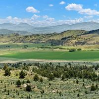 Four S Land Cattle images 1