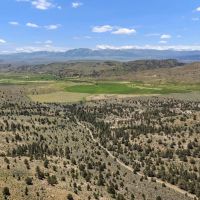 Four S Land Cattle images 2