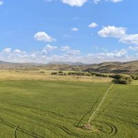 Four S Land Cattle images 3