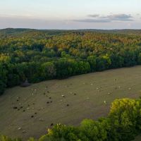 Ocmulgee Creek Farm images 4