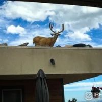 Eagle Ridge Ranch images 3