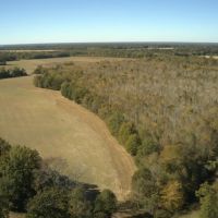 620 - Acres High Fence with Lodge for Sale Northeast LA images 4