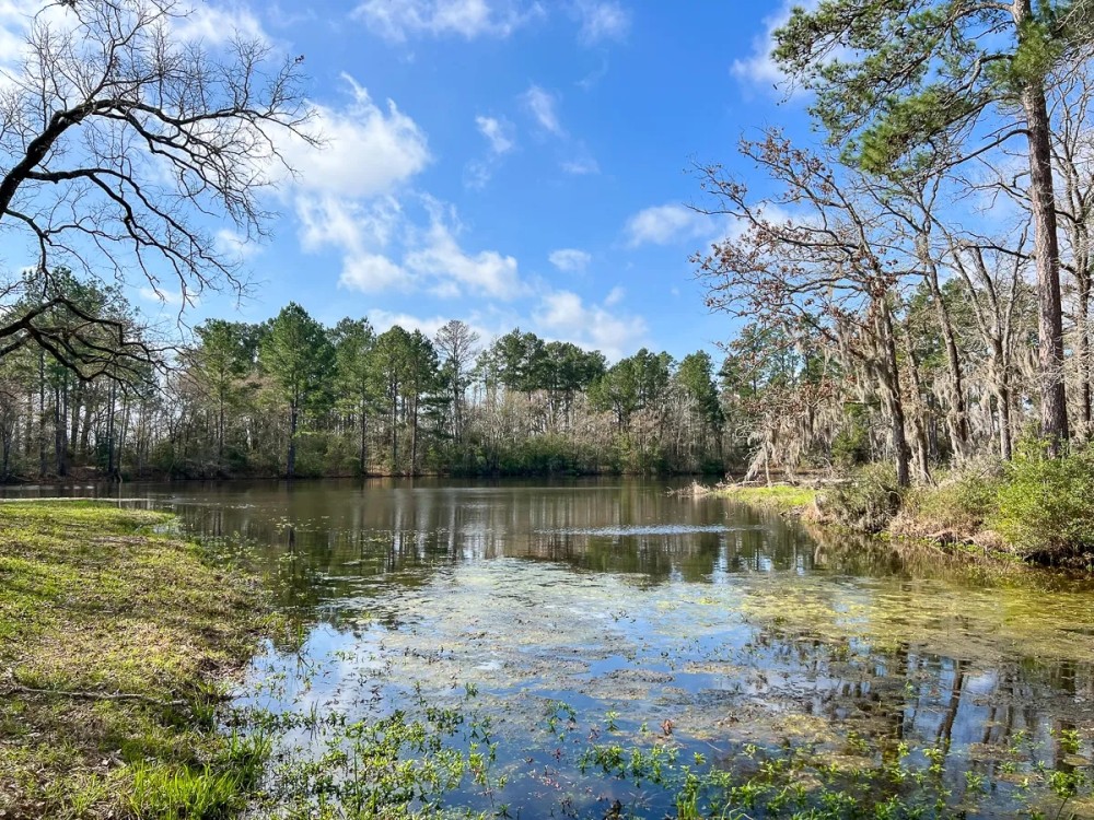 123 Acres FM 980 featured image