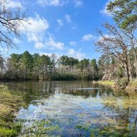 123 Acres FM 980