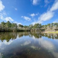 123 Acres FM 980 images 4