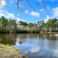 123 Acres FM 980 images 5