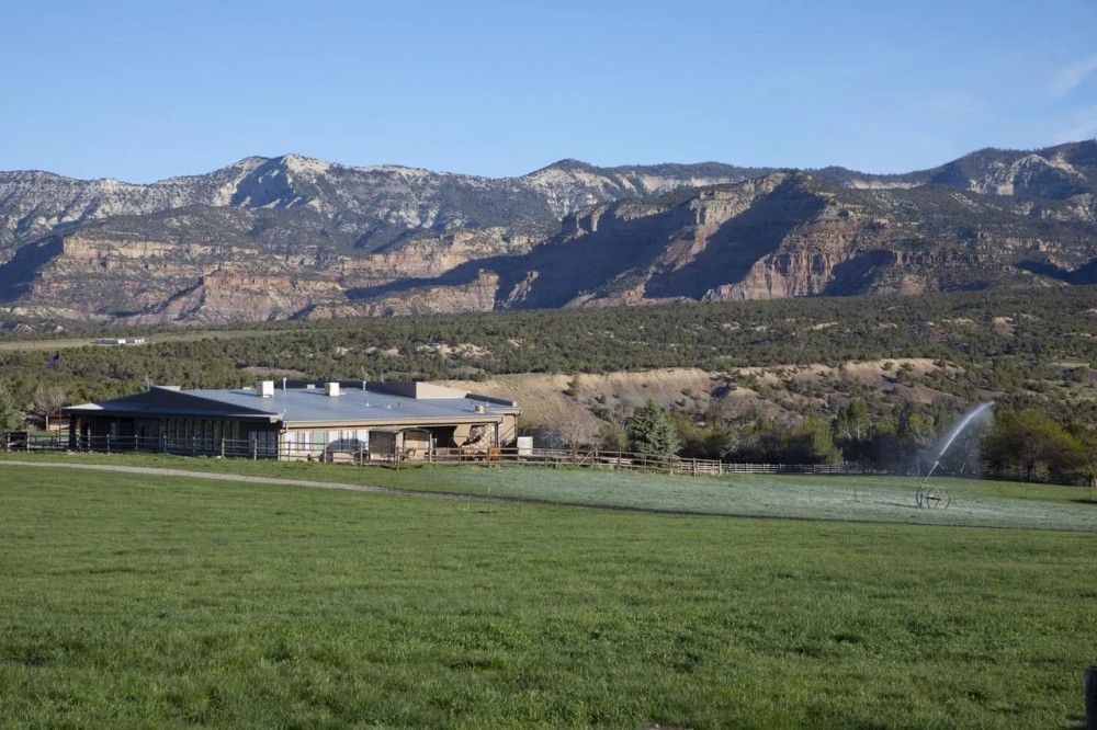 Colorado Cattle Ranch Horse Property for Sale featured image