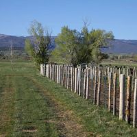Colorado Cattle Ranch Horse Property for Sale images 3