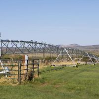 Colorado Cattle Ranch Horse Property for Sale images 4
