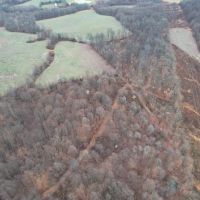 LAND FOR SALE - 200 ACRES MIXED HABITAT TILLABLE - ECKERTY INDIANA - CRAWFORD COUNTY images 5