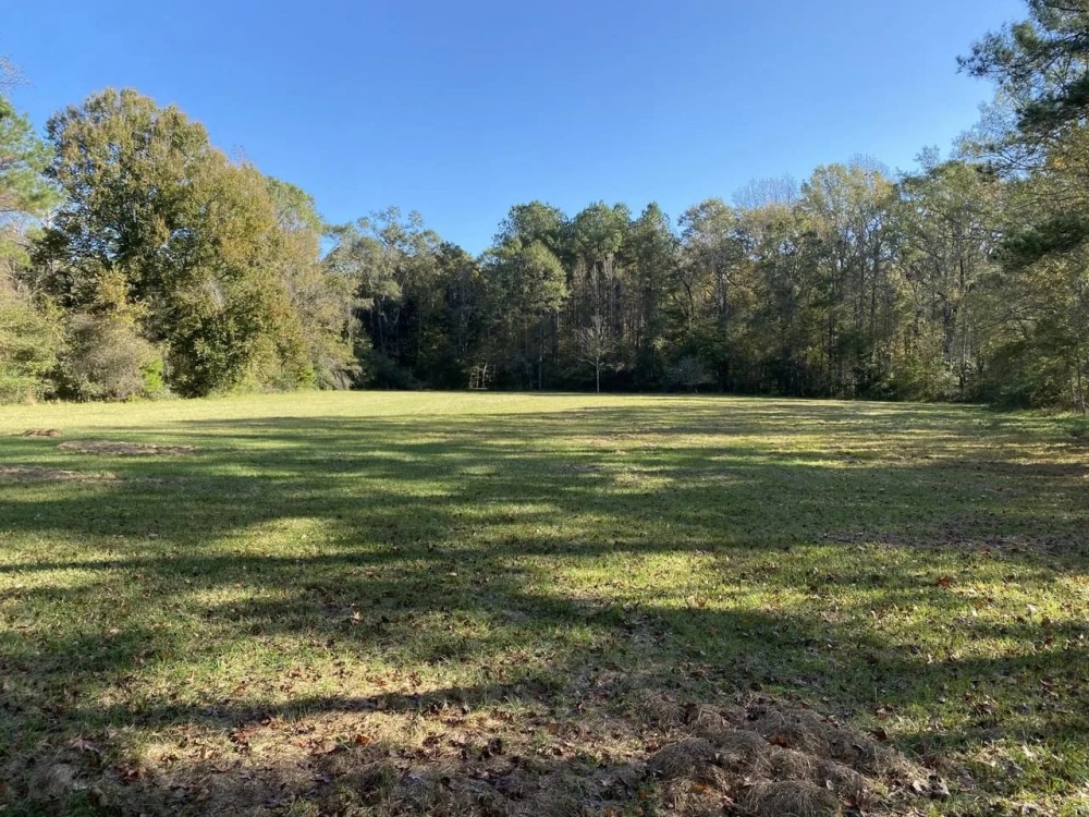 Turnkey 123 Acres Hunting Land Camps for Sale Clinton LA featured image
