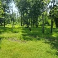 10 Acres With a Camp on Old River in Concordia Parish in Vidalia MS images 2