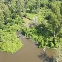 10 Acres With a Camp on Old River in Concordia Parish in Vidalia MS images 4