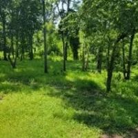 10 Acres With a Camp on Old River in Concordia Parish in Vidalia MS images 5