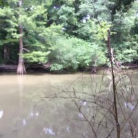 Arkansas Duck Hunting Lease