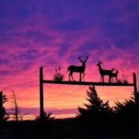 Jerico Homestead and Hunting Ranch images 3