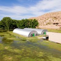 Weber Ranch images 3