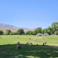 Weber Ranch images 4