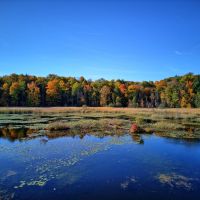 Harris Lake 36 images 5