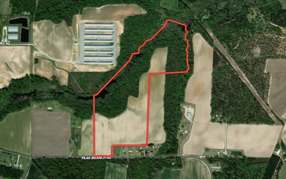 54.59 acres of Recreational and Residential Land For Sale in Greene County NC featured image